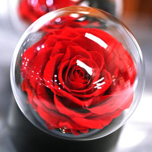 Caja Musical de Cristal con Rosa Preservada de Lujo TC, Decoración Atmosférica, Regalo para el Día de San Valentín, Día de la Madre, Cumpleaños - Product Image 3