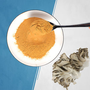 מיובש maitake גבוהה באיכות פטריות מיובשות בתפזורת מכירה מחיר בריא - Product Image 2