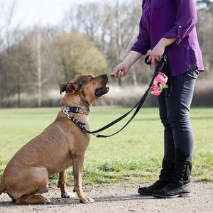 Venta al por mayor de neopreno personalizado perro caminar accesorio de nylon bolsa de caca de mascotas dispensador de residuos de caca - Product Image 5