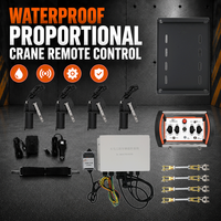 Contrôleur électro-hydraulique proportionnel professionnel facile à installer pour la rétrofit de grue Manitowoc Vinc Uzaktan Kumanda