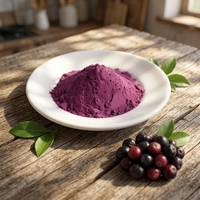 Poudre de baies d'açaï lyophilisées en vrac, superaliment naturel pur, antioxydant, extrait de fruit d'açaï en poudre pour smoothie bowl