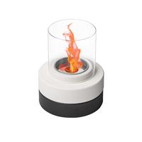 TT-125 Mini Cheminée d'Intérieur au Bioéthanol, Cheminée de Table Extérieure au Design Moderne, Brasero de Bureau, Biocheminée de Table