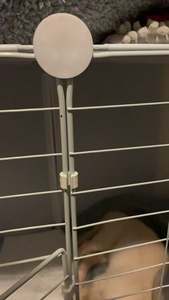 מחברי רשתות לבעלי חיים קלאסיים יוקרתיים, קליפסים מפלסטיק בצורת Y להרכבת כלובים, אביזרים מודולריים לבניית גדר לבעלי חיים, באריזה. - Product Image 6