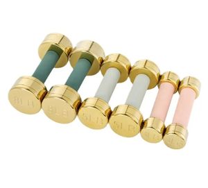Conjunto de Halteres de Ouro de 1-10 kg Alta Qualidade em Aço Inoxidável Ajustável - Product Image 5