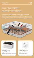Incubateur à œufs LED WONEGG à taux d'éclosion élevé, incubateur automatique pour poulets, 56 œufs, incubateur automatique
