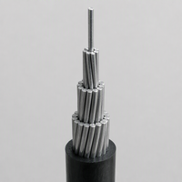 JKLYJ JKLGYJ Luftisoliertes ABC-Kabel Aluminiumleiter Stahlverstärktes XLPE 1x25mm² 50mm² 70mm² Freileitung