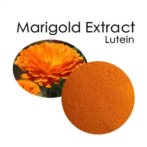 خلاصة زهور القطيفة العضوية الطبيعية بخلاصة خلاصة القطيفة من الدرجة الغذائية من أجل ، - Product Image 2