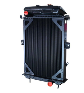 Radiatore in Ottone/Rame o Completamente in Alluminio per Sistema di Raffreddamento Automobilistico, per Camion Trattore KENWORTH W900, OEM 556213-4/6500-06BT - Product Image 1