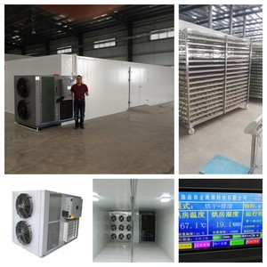 Commerciële hetelucht industriële voedseldroger voor voedselverwerking, eenvoudige installatie, energiebesparend, knoflook, zoete aardappel, PLC-besturing - Product Image 4