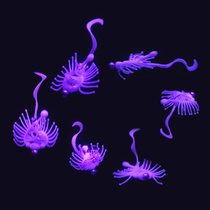 Esca Artificiale Morbida TPR Top Right S061 UV/Fosforescente a Forma di Verme, Multiuso, Realistica, <span class=keywords><strong>per</strong></span> Pesca in Acqua Dolce, <span class=keywords><strong>per</strong></span> Spigola e <span class=keywords><strong>Luccio</strong></span> - Product Image 3