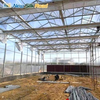 Grote Venlo-type multispan kas van polycarbonaat met verzinkt stalen frame, ventilatie- en koelsystemen