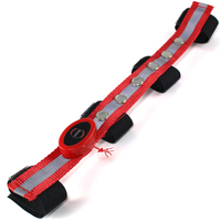 Bandeau lumineux LED cheval, vente en gros, usine,