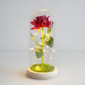 Regalo Romantico per San Valentino, Rosa Preservata Personalizzata con Luce LED in Cupola di Vetro Trasparente, Luce Notturna Eterna Elegante Fatta a Mano, Decorazione per la Casa - Product Image 3