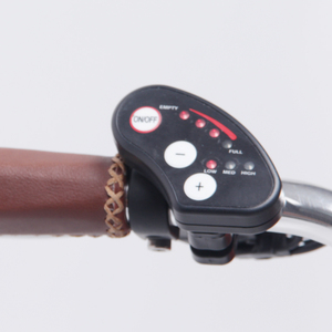 Bicicleta Eléctrica con Cuadro y Horquilla de <span class=keywords><strong>Cromoly</strong></span>, Bicicleta Eléctrica para Mujer - Product Image 3