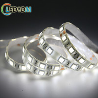 Ruban flexible LED HD 5050 blanc 4000k 3000k chaud 60D DC24V DC12V 14.4W avec CE ROHS ETL peut contrôler à distance SMD bande lumineuse LED