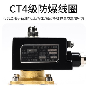 Vanne solénoïde 2W16B-13E Ac220V 1/2 pouce pour le contrôle du gaz à usage général - Product Image 3