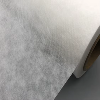 Stabilisateur soluble à l'eau froide de haute qualité, écologique, super blanc, 40g, largeur 160cm, tissu non tissé, entoilage pour broderie