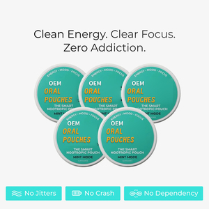 Nootropic Focus Pouches, Daily <strong>Brain</strong> Cognitive Support <strong>Supplement</strong>, Non-tobacco zero Nicotine Mint Oral Pouches - Product Image 6