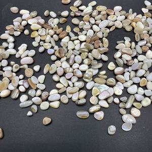 Groothandel in gebroken zeeschelpen, nagelknippers, kleurrijke Tamsui rivierparelschelpen, nageldecoraties - Product Image 4