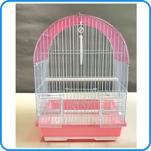 Vente en gros d'usine, oiseaux de compagnie de grande taille de haute qualité - Product Image 5