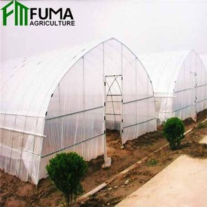 FM <strong>Cheap</strong> Galvanized Material Tunnel Hydroponic <strong>Greenhouse</strong> <strong>for</strong> <strong>Sale</strong> - Product Image 4