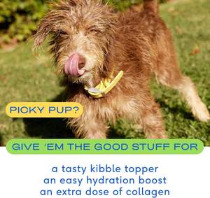 Supplément nutritionnel pour animaux <span class=keywords><strong>de</strong></span> compagnie OEM/ODM Poudre <span class=keywords><strong>de</strong></span> rehausseur <span class=keywords><strong>de</strong></span> goût <span class=keywords><strong>de</strong></span> repas dans un bouillon d'os <span class=keywords><strong>de</strong></span> chien pour les mangeurs difficiles Suppléments <span class=keywords><strong>de</strong></span> soins <span class=keywords><strong>de</strong></span> santé - Product Image 2