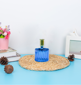 Vaso idroponico in vetro borosilicato personalizzato con decorazione per soggiorno con acqua e piante verdi - Product Image 3