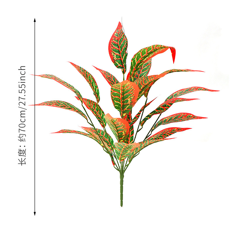 ไม้หลากสี