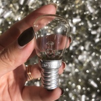 Tube incandescent transparent ST26 E14s 15W pour utilisation comme ampoule de réfrigérateur ou lampe à sel