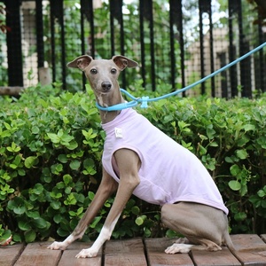 Gilet de protection solaire estival pour chien de type Greyhound <span class=keywords><strong>italien</strong></span> et Whippet, en polyester moderne, avec capuche, anti-salissures, pour les sorties et Halloween - Product Image 3
