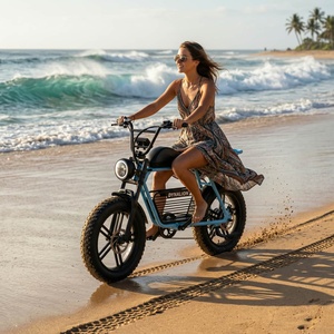 Bicicleta Eléctrica Beach Cruiser con Neumáticos Anchos Antideslizantes y Diseño Impermeable para Vacaciones en la Playa y Paseos por la Arena - Product Image 3
