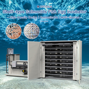 Incubateur de poissons automatique économe en énergie pour l'aquaculture intensive en Chine, avec filtre biosécuritaire pour bassins <span class=keywords><strong>RAS</strong></span> - Product Image 1