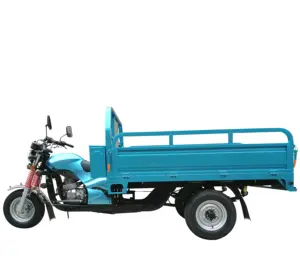 Fabriek Aangepaste Carry Diesel Drie Wielen Motorfiets Voor Koop Trailer