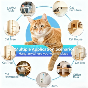 Jouet pour <span class=keywords><strong>chat</strong></span> rétractable automatique à fixer sur la porte, rechargeable par USB, jouet électrique auto-entretenant pour chats d'intérieur - Product Image 6