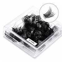 Cluster Lashes Kit Logo personnalisé Cils Cluster Kit Diy Lashes Lash Boxes Logo personnalisé