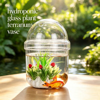 Articles de décoration de Rome : Terrarium en verre transparent pour mousse, vase en verre soufflé à la main pour plantes hydroponiques avec couvercles en dôme et trou