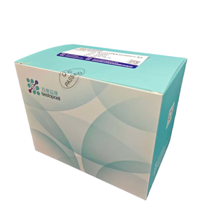 Kit d'isolement d'<span class=keywords><strong>ADN</strong></span> tissulaire/cellulaire animal - Purification universelle d'<span class=keywords><strong>ADN</strong></span> génomique pour PCR/qPCR/sequençage Modèle BA4003 50T Baiaoyikang - Product Image 5