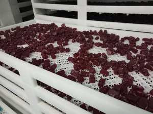 Gomitas de Aceite de Semilla Negra de Marca Privada, Orgánicas, 60 Piezas, Gomitas de Aceite de Semilla Negra con Miel, Suplemento Dietético - Product Image 6