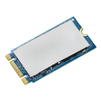 SSD SATA M.2 2242 SL700 128 Go 256 Go 512 Go pour Ordinateur Portable, Mini PC et Ordinateur Industriel