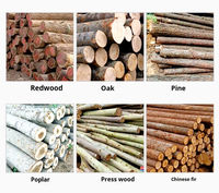 Fendeuse de bois électrique professionnelle de haute qualité en bois pour usage domestique, machine de scierie agricole, coupe de bois