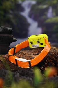 Seguimiento de Tiempo Real multiperro con perros Zumbador Rastreador Gps Rastreador Perro - Product Image 2