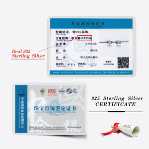 Rinntin Lze56 Đồ Trang Sức Mỹ Cổ Điển 1CT/2ct/3ct/4CT Ngọc Lục Bảo Cắt Kim Cương S925 Sterling Silver 8A Cubic Zirconia Stud Bông Tai - Product Image 6