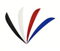 Véritable aile naturelle tir à l'arc flèche plume empennage aubes plume de dinde pour bricolage tir à l'arc chasse cible tir flèche accessoire