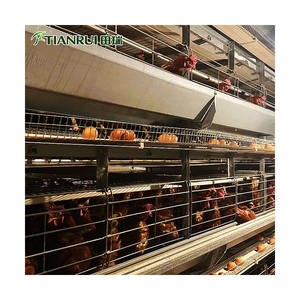 Tavuk çiftliği ekipmanları kalça daldırma galvanizli çelik H tipi çok katlı katman yetiştiriciliği pil tavuk kafesi - Product Image 5