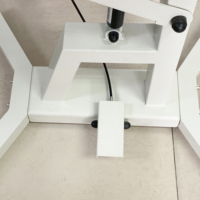 Table de toilettage pneumatique pour animaux de compagnie, de qualité supérieure, avec levage pneumatique, pour chiens, de type rond, EUR VET