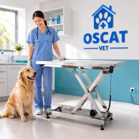 Table d'examen vétérinaire OSCAT en acier inoxydable 304, table électrique réglable en hauteur, équipement médical pour animaux de compagnie