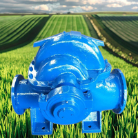 Pompe à eau personnalisable à haute pression OEM à moteur diesel chromé Pompe à jet à double aspiration pour l'irrigation agricole