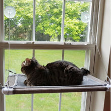 Hamaca para gatos con ventosa, percha, comodidad ajustable, tela Oxford, ventana portátil de plástico, cama para gatos - Product Image 5