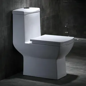 New Morden White Color Bathroom Porcelain One Piece Toilet Sanitary Ware Toilet Bowl and WC Bowl with Good Quality