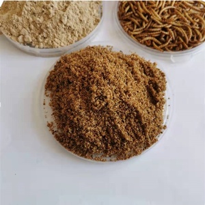 Polvo de Gusano de la Harina Amarillo Funcional, Puro, Natural, Sin Aditivos, de Alta Proteína, 60 mallas - Product Image 2